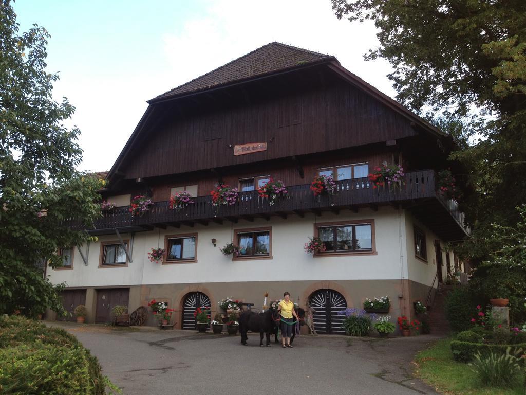 Mattenhof Zell am Harmersbach Exterior foto